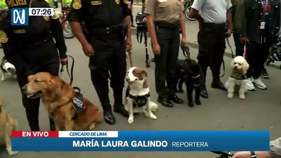 Perrito buldog ‘Max’ será miembro de la Unidad Canina tras ser rescatado de su dueño maltratador | VIDEO