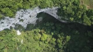 China: encuentran un “mundo subterráneo” con especie no antes vistas | VIDEO