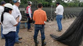 San Martín: Sunafil paraliza trabajos en campo de cultivo por exponer a riesgo biológico a 191 trabajadores en Tocache