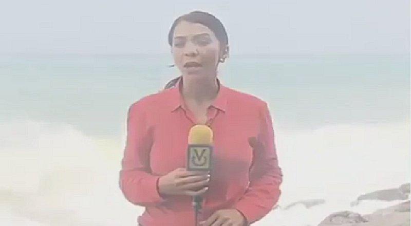 Periodista es sorprendida en pleno enlace en vivo (VIDEO) 