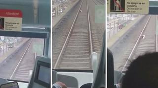 Perrito genera gran debate entre pasajeros de la Línea Uno del tren (VIDEO)