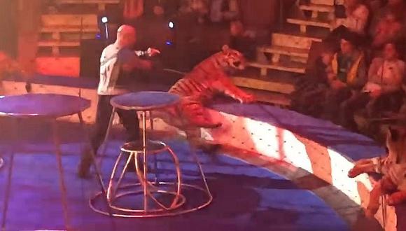 ​Tigre convulsiona en pleno show de circo y las imágenes causan indignación (VIDEO)