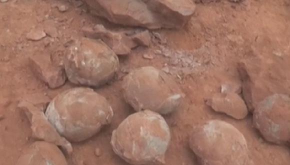 Hallan 30 huevos de dinosaurio de 130 millones de años (VIDEOS)