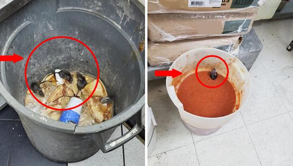 Las flechas rojas te muestran las ratas que se mueven en la basura y los ingredientes de un restaurante en EEUU y se hicieron virales en Facebook.