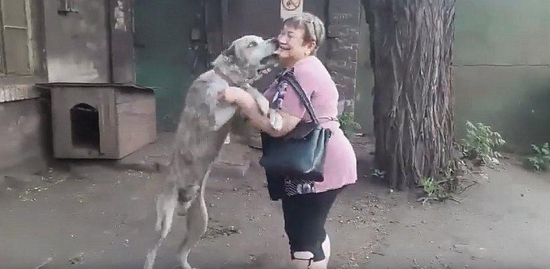 El emotivo reencuentro de una mujer y su perro después de dos años de búsqueda | VIDEO 