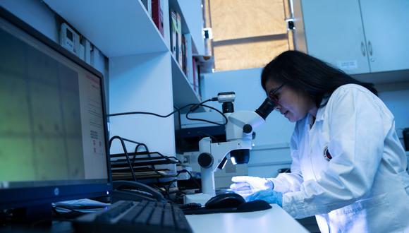 Campaña busca que más mujeres se interesen por estudiar carreras de ciencia y tecnología en el país. (Foto: referencial / GEC)