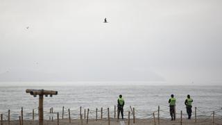 Marina de Guerra del Perú descarta alerta de tsunami tras terremoto de magnitud 7.3 en Japón