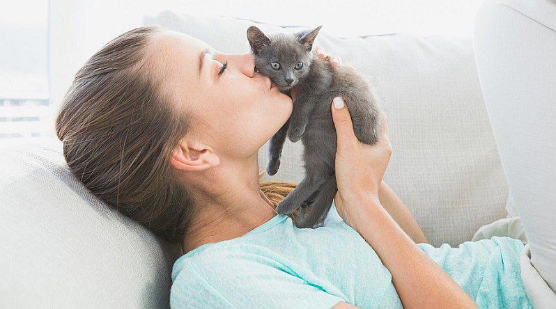 ​20 de febrero: hoy se celebra el Día Internacional del Gato