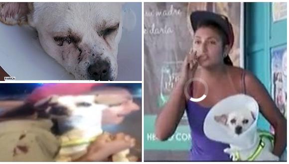 Mascotas: carabinero agredió ‘sin piedad’ a pequeño perro (VIDEO)