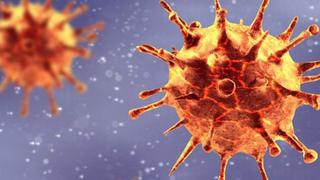 Mujer se infecta a la vez con dos variantes distintas (que circulan en el Perú) del temible coronavirus