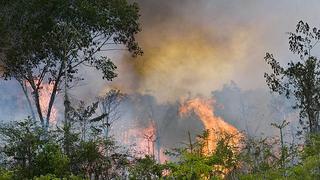 Incendios forestales alcanzan récord en la Amazonia de Brasil