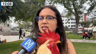 Dueña del ‘Gallo Claudio’ consiguió firmas de vecinos: “El problema es mi tía, una sola persona”