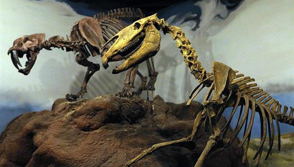 Trelew, la ciudad argentina que "resucitó" al dinosaurio más grande del mundo 