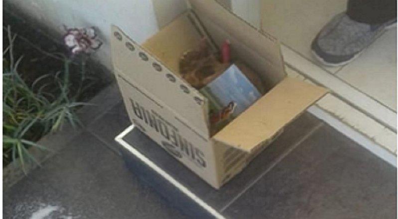 Vecino da con macabro hallazgo dentro de caja a la salida de su casa (FOTOS)