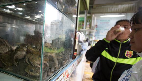 Colombianos encantandos con extracto de rana [VIDEO] 