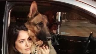 Salma Hayek destrozada tras el asesinato de su perro  