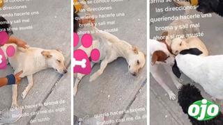 Quería jugarle una broma a su perrito, pero él la sorprende