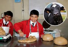 Escolares de Huancavelica elaboran ‘superpan’ para combatir la anemia a base de sangre de bovino