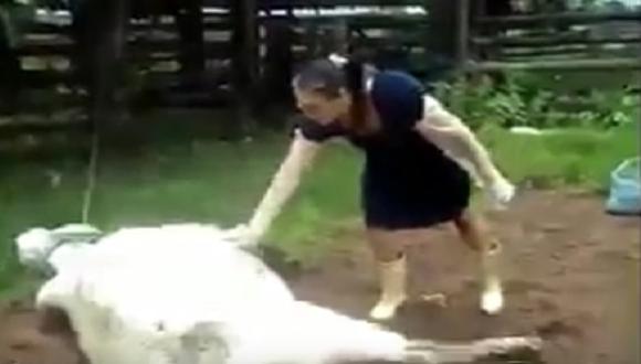 YouTube: Consuela a una vaca que dio a luz y esto fue lo que le ocurrió [VIDEO]