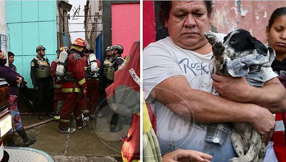 Bomberos rescatan a 3  de 17 perritos durante incendio en el Callao 