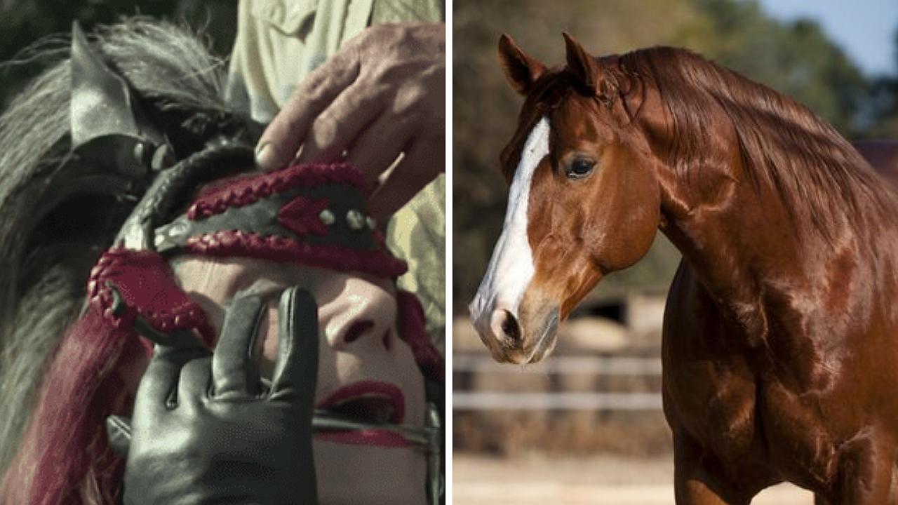 Transexual infeliz con su cambio de género desea operarse para ser un caballo