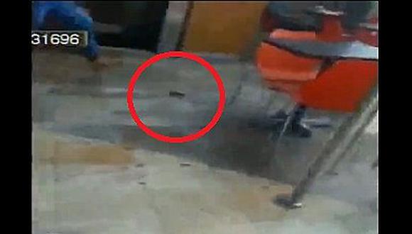 Municipalidad de Lima toma esta drástica decisión tras aparición de rata en centro comercial