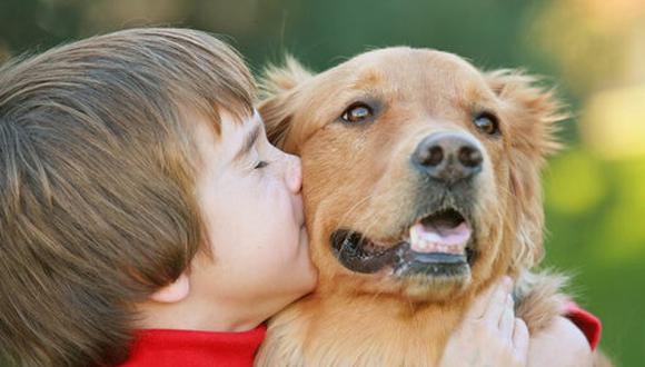 Conmovedora escena de un perro recibiendo amor por primera vez se vuelve viral (Foto referencial: Pixabay)