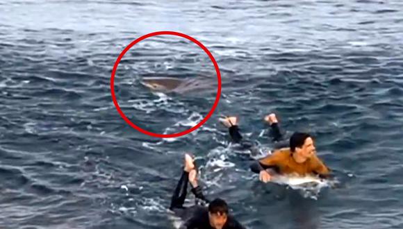 Un tiburón atacó a un joven surfista, en Australia. Una persona logró captar al escualo. (Foto: captura de video)