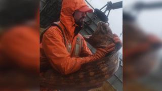 “Es un monstruo real”: pescador captura una aterradora criatura en el mar de Alaska