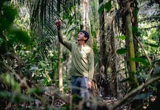 Estación Biológica Kawsay fortalece la conservación de la biodiversidad en Tambopata