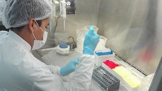 Vacuna peruana contra el COVID-19: Universidad Cayetano Heredia aclaró que no ha aprobado pruebas en humanos