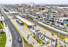 La cruda realidad: Necesitamos áreas verdes