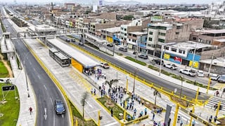 La cruda realidad: Necesitamos áreas verdes