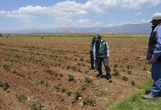 Apurímac sufre en situación alimentaria
