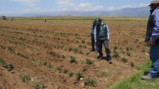 Apurímac sufre en situación alimentaria
