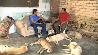'​Dr. Vet' atendió conmovedor caso de 58 mascotas que perdieron a su dueña [FOTOS]
