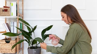 Cómo mejorar la ventilación natural en tu hogar con simples acciones