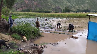 Campos de cultivo quedaron inundados por desborde de río Vilcanota en Cusco