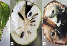 Comer para vivir: Lo que revelan las manchas internas en las frutas