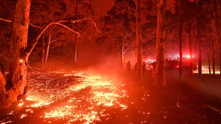 Áncash: incendios forestales durante este año se duplicaron en comparación con el 2019