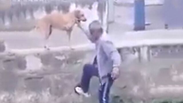 Hombre ebrio le pide ayuda a un perrito, pero todo termina mal (VIDEO)
