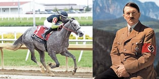 Purasangre se llamaba Austrian Painter (Pintor Austríaco) y alguien se sintió ofendido. Hoy se llama Merrylegs (Piernas felices), aunque todos los hípicos saben que en realidad es Austrian Painter (Pintor Austríaco), nombre con que creció en su caballeriza.
