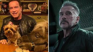 Coronavirus: Arnold Schwarzenegger acata cuarentena y comparte video en el que aparece con su burro y su pony