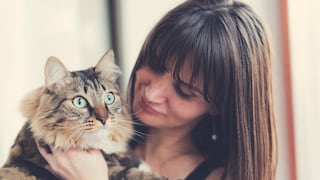 5 importantes razones para ser una 'cat lover'