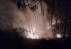 Incendio forestal consume al menos 3 hectáreas de pastos naturales en Áncash