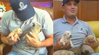 George Forsyht pone en adopción cachorros que sus serenos hallaron abandonados en basurero | VIDEO