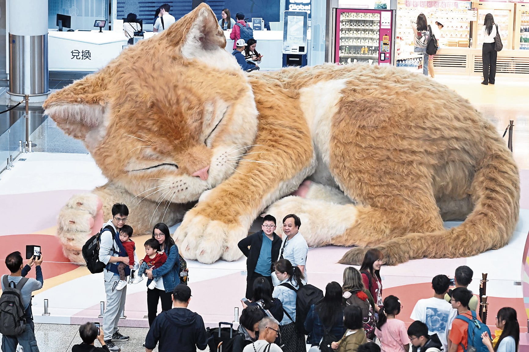 El gato, de 8 metros de largo y 3.5 metros de alto, está en Hong Kong.