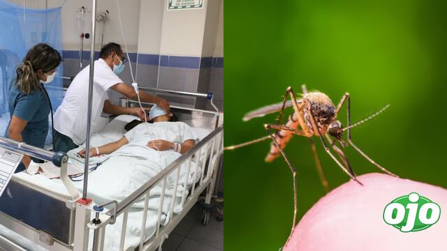 Ministerio de salud reportó más de 18 mil casos de contagio y 10 fallecidos por dengue durante el 2024