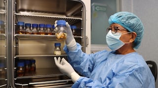 Tecnología nuclear permite producir coberturas para tratar quemaduras graves en niños