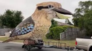  Pájaro gigante recorre calles y se ríe cuando abre su pico │ VIDEO